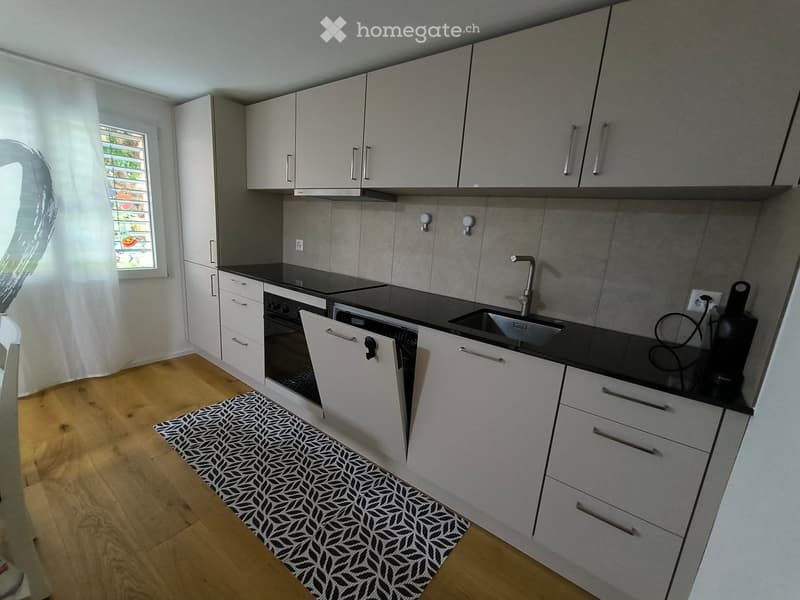 Modern kitchen with grey cabinets, black countertops, a sink, faucet, stove, and an open oven. Wooden flooring and a patterned rug are visible.