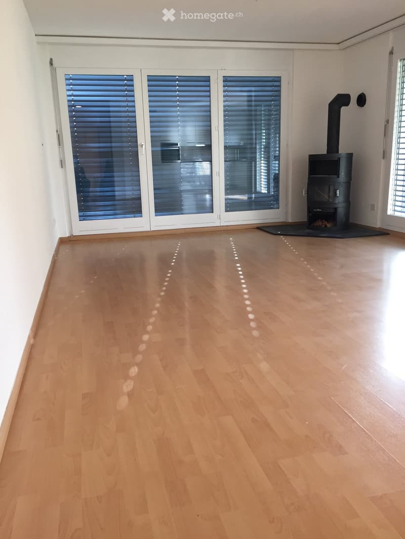 Empty room with light wooden flooring, white walls, large glass doors with blinds, and a black wood-burning stove.