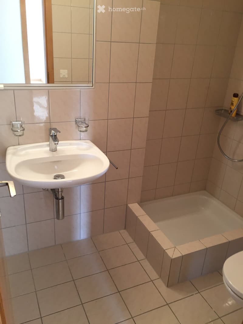 Modern bathroom with a white sink, chrome faucet, mirror, and a shower area with a hose. Light beige tiles cover the walls and floor.