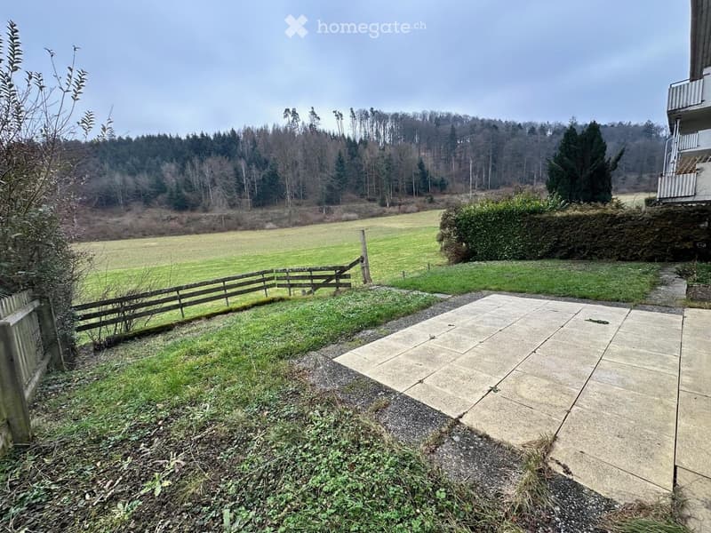 Outdoor patio area with concrete tiles, surrounded by grassy areas, wooden fence, and distant forest view.