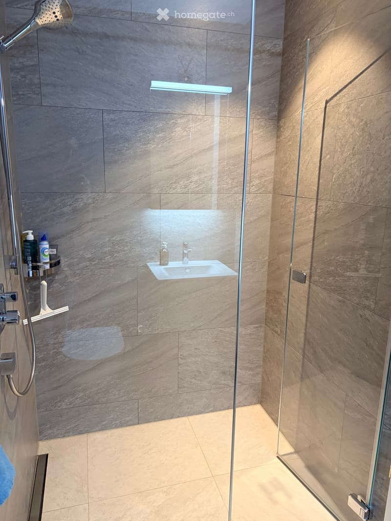 Modern bathroom with a glass-enclosed shower, a built-in shelf for toiletries, and a sleek, contemporary design.