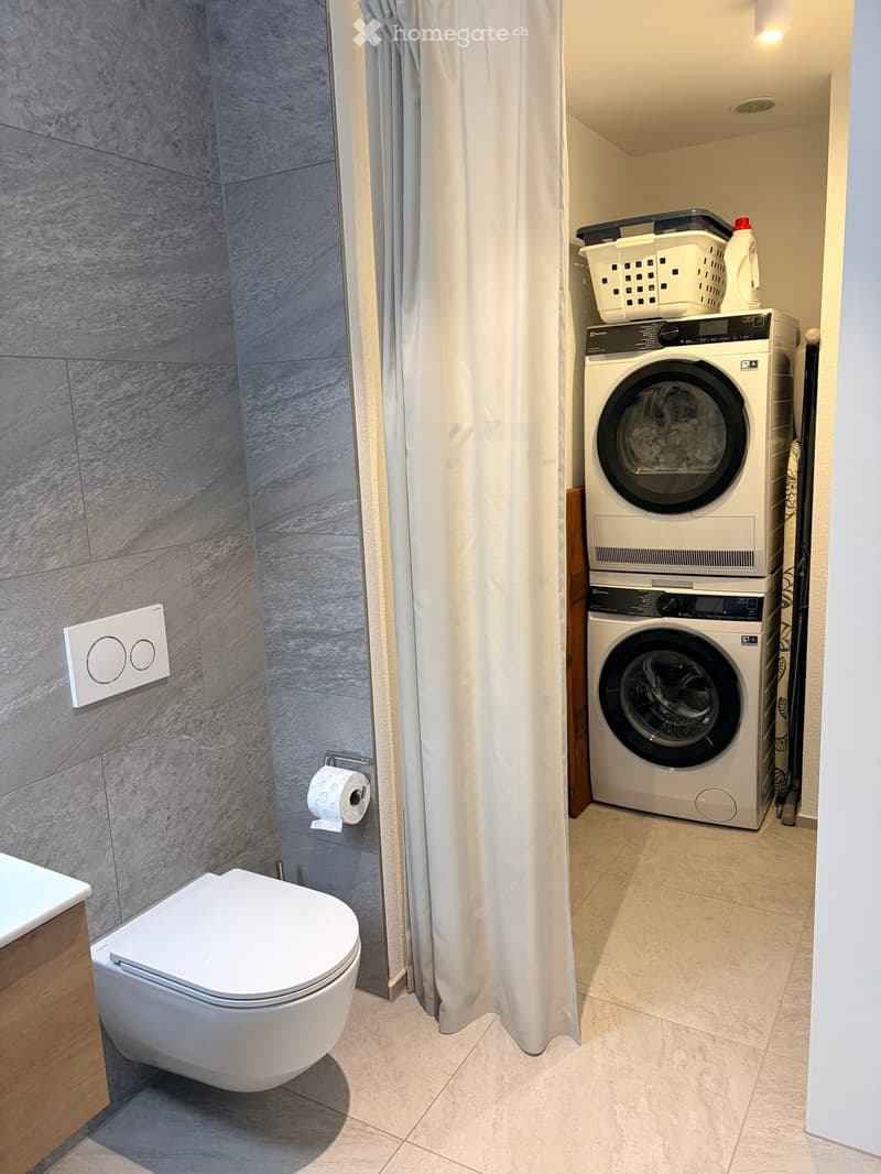 Modern bathroom with a toilet, washing machine, shower curtain, and laundry basket. The walls are tiled in grey marble, and the floor is tiled in light beige.