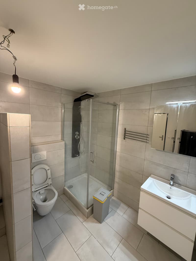 modern shower stall, toilet, white sink, mirror, trash can, tiled flooring