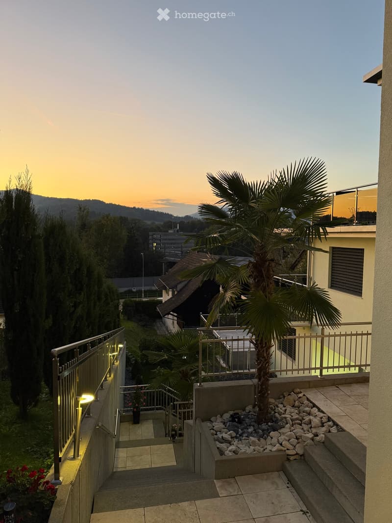 sunset view, palm tree, concrete steps, fence, mountain landscape