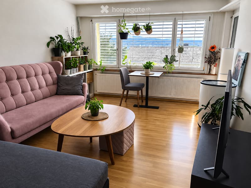 Modern living room with wooden flooring, large windows offering a view, pink sofa, coffee table, dining table with chairs, television, and several potted plants on shelves and surfaces.
