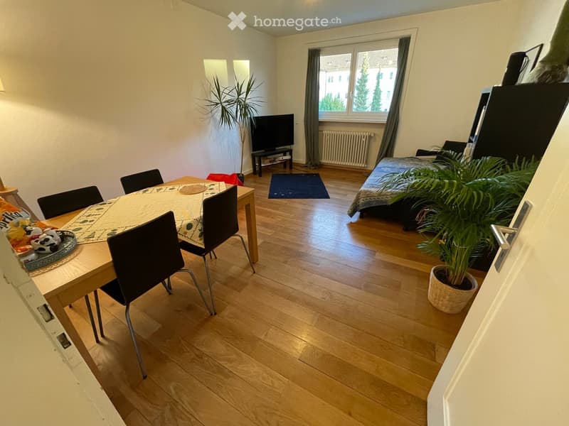 A well-lit, open-plan living and dining area with wooden flooring, a dining table with chairs, a television, a bed, and potted plants.