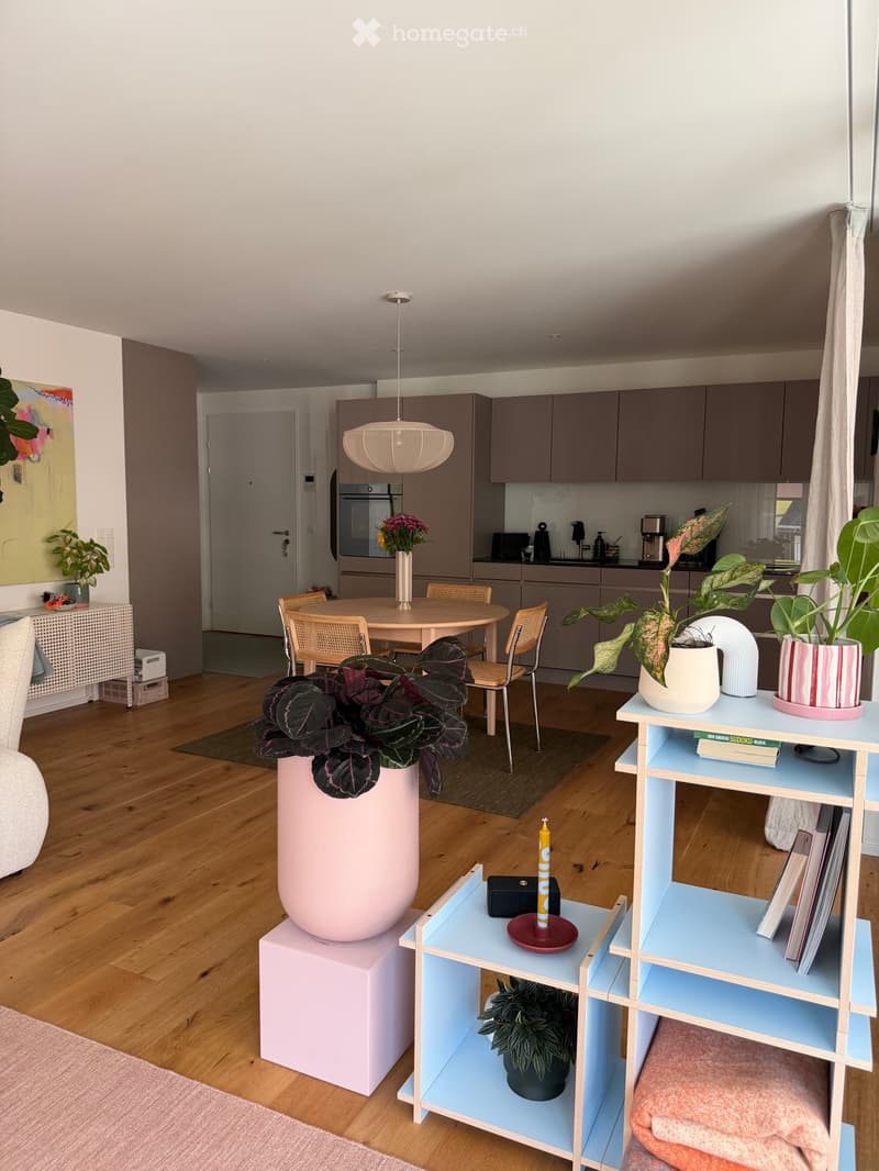 Modern living and dining area with wooden flooring, a sofa, dining table with chairs, kitchen area with cabinets and appliances, and decorative plants and shelves.