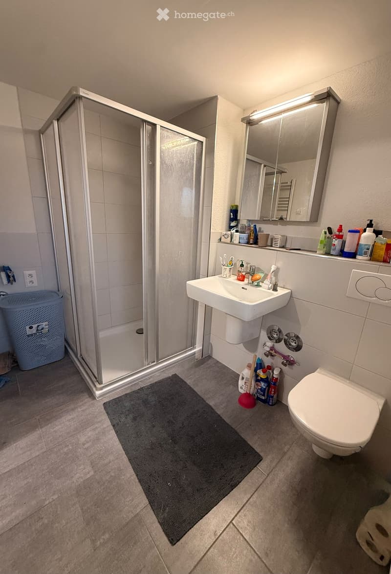 Modern bathroom with a white sink, toilet, mirror, and a glass-enclosed shower. Cleaning supplies and a bath mat are visible.