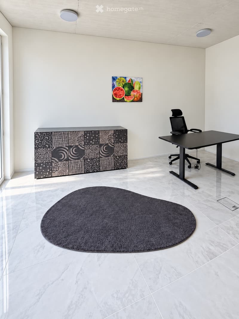 Modern office space with a sleek black desk, ergonomic chair, patterned cabinet, round rug, and a colorful fruit-themed painting on the wall.