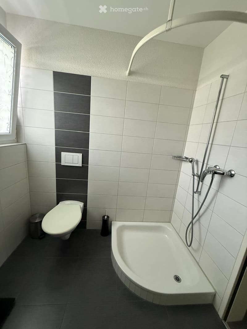 Modern bathroom with white tiles, dark grey accent wall, bathtub, toilet, shower hose, and a small trash can.