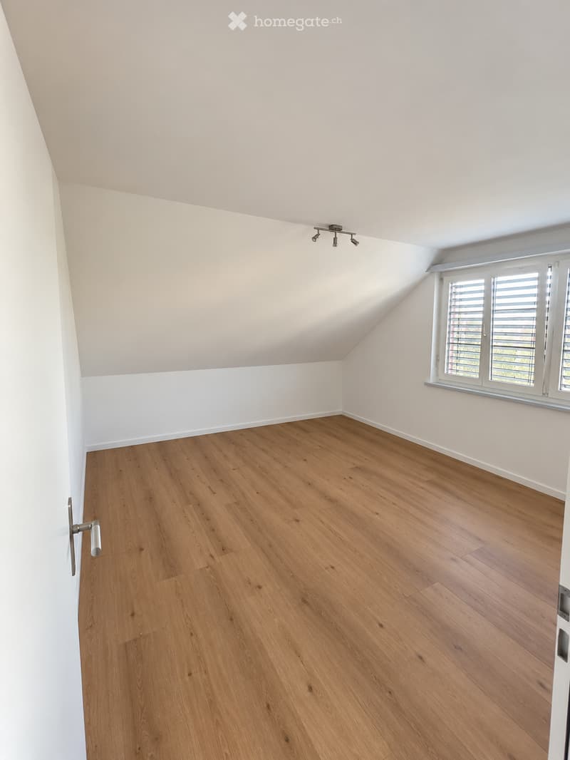 Empty attic room with wooden flooring, white walls, and a skylight window. The room features a sloped ceiling and modern lighting fixtures.