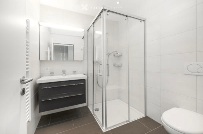 Modern bathroom with a white tiled shower enclosure, a dark vanity with a sink, a mirror, and a toilet. The floor is tiled in dark brown.