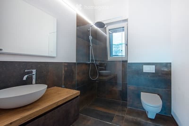 Modern bathroom with a glass-enclosed shower, a white sink with a sleek faucet, a toilet, and a large mirror above the sink. The shower area features a modern showerhead and a glass door.