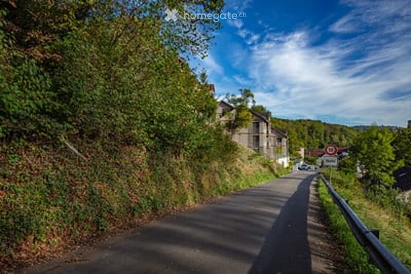 A winding road surrounded by lush green trees and bushes, with a house visible on the hillside in the background.
