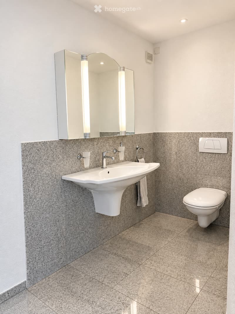 Modern bathroom with a white sink, chrome faucet, large mirror, and toilet. Grey tiled walls and beige tiled floor.