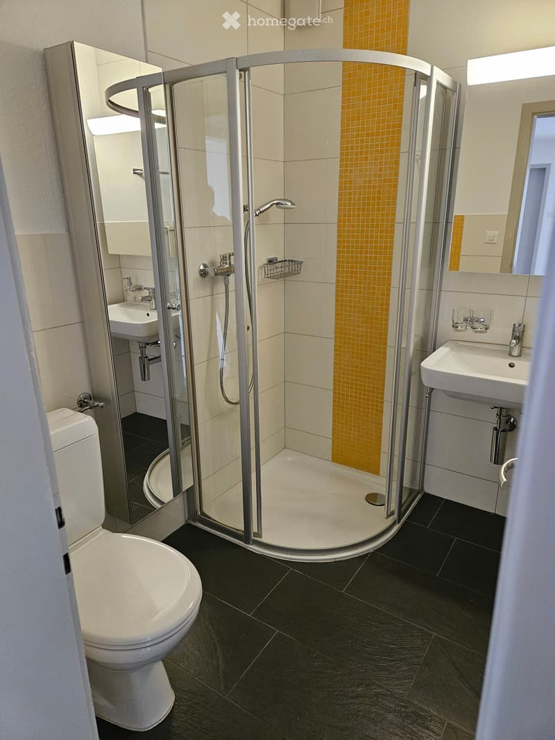 Modern bathroom with a glass-enclosed shower, toilet, two sinks, and a large mirror. The shower has a yellow accent tile backsplash.