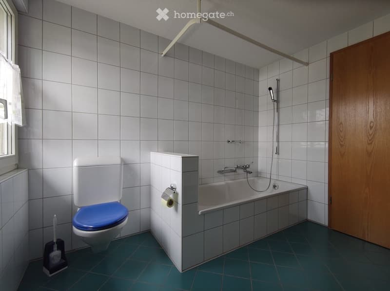 Bathroom with white tiled walls, a blue toilet seat, a bathtub with a shower hose, and a toilet paper holder. The floor is green tiled, and a toilet brush is placed near the toilet.