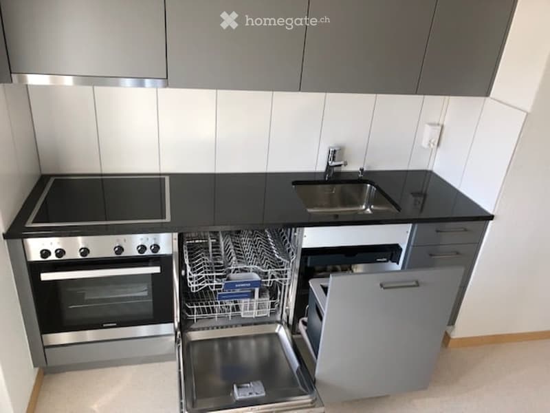 Modern kitchen with grey cabinets, black countertops, stainless steel oven, sink, and open dishwasher.