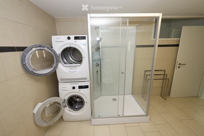Modern bathroom with a glass-enclosed shower stall and stacked washing machine and dryer unit.