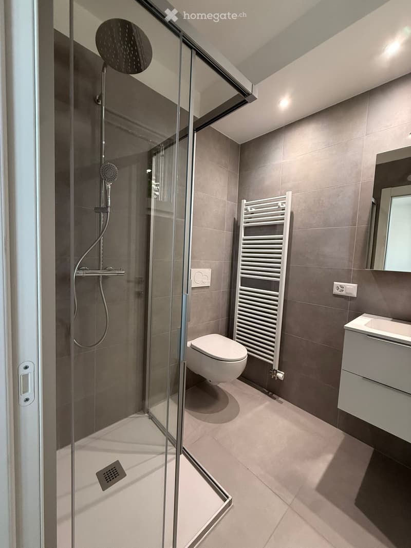Modern bathroom with a glass-enclosed shower, toilet, sink, radiator, and mirror. The space features grey tiles and a sleek design.