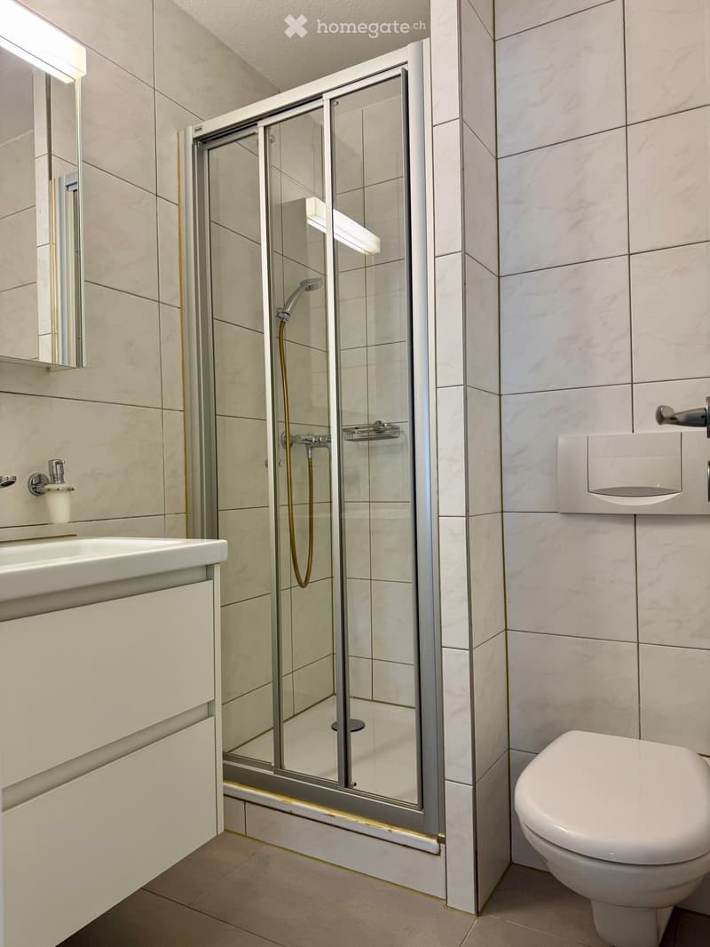 Modern bathroom with a glass-enclosed shower, a white sink with a cabinet, a toilet, and a mirror above the sink.