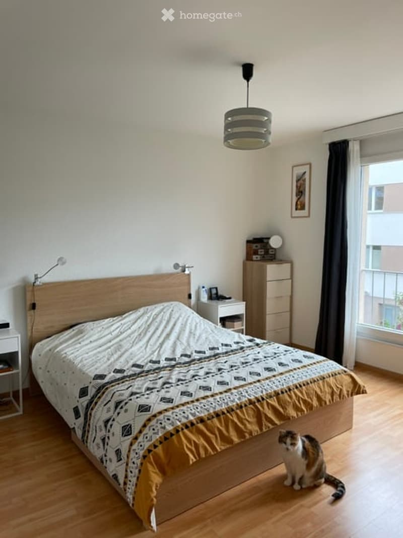 A modern bedroom with a wooden bed, patterned bedspread, nightstand, dresser, and a cat sitting on the floor near the window.