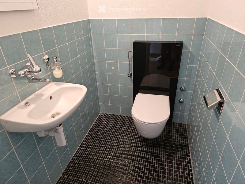 Modern bathroom with a corner sink, chrome faucet, toilet, and soap dispenser. Blue tiled walls and dark tiled floor.
