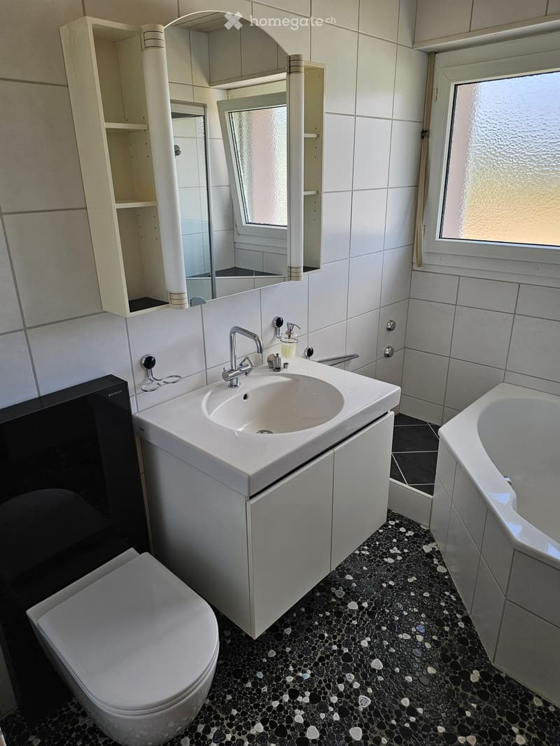Modern bathroom with white tiles, a black pebble floor, a white sink with a chrome faucet, a toilet, a bathtub, and a mirrored cabinet.