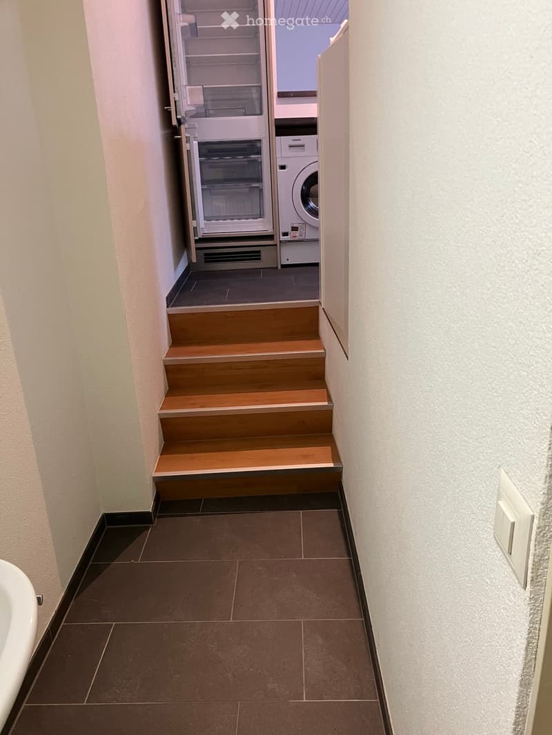 A narrow hallway with wooden stairs leading up, a refrigerator, and a washing machine visible in the background.