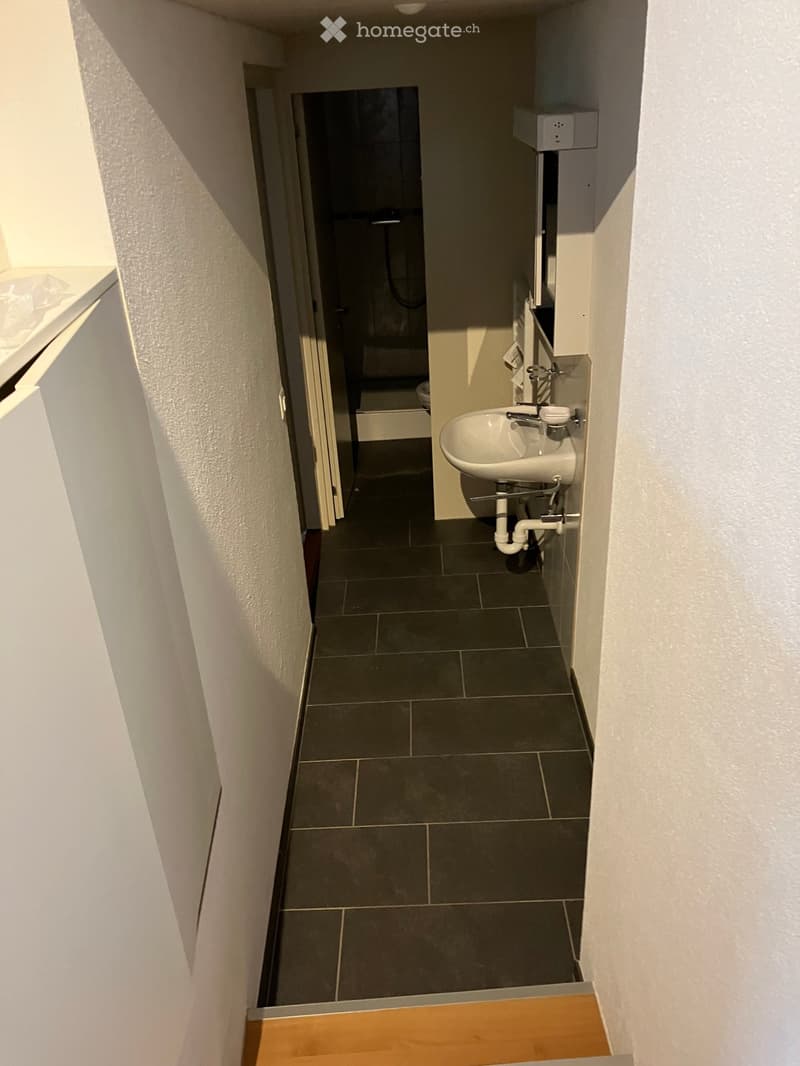 Narrow hallway with dark tiled floor, white walls, and a small sink area visible at the end.