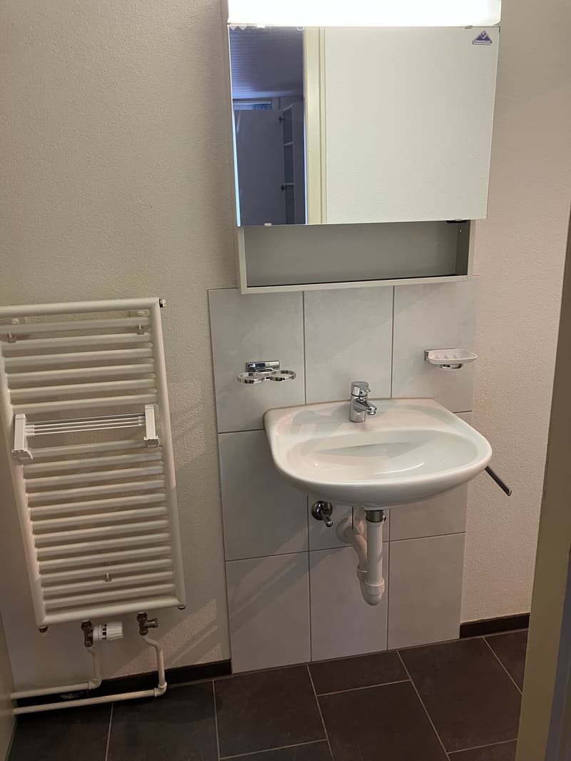 Modern bathroom with a white sink, chrome faucet, built-in mirror cabinet, and a white radiator on the wall.