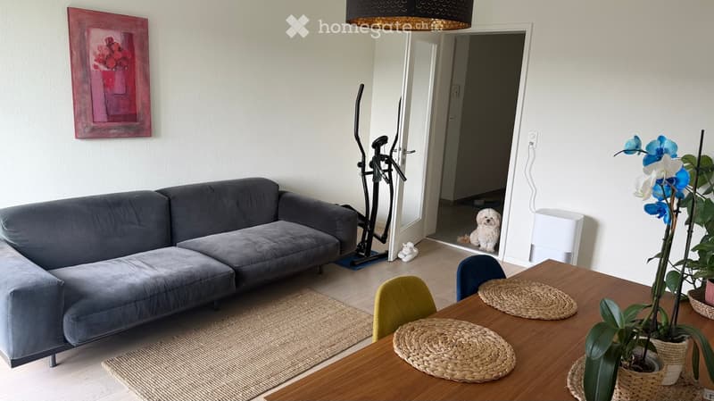 Living room with grey sofa, wooden table, chairs, exercise bike, and decorative plants.