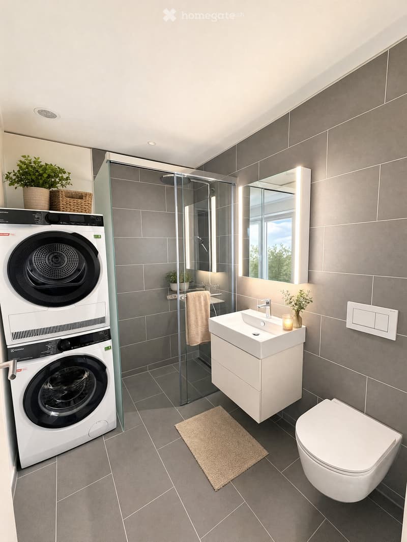Modern bathroom with grey tiles, white fixtures, a glass-enclosed shower, a sink with a mirror, a toilet, a washing machine, and a small rug.
