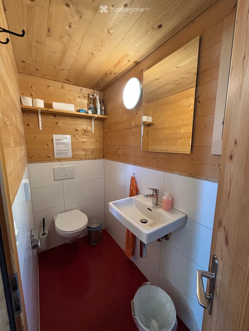 Cozy wooden bathroom with a toilet, sink, mirror, and shelves. Features a round skylight and a red floor.