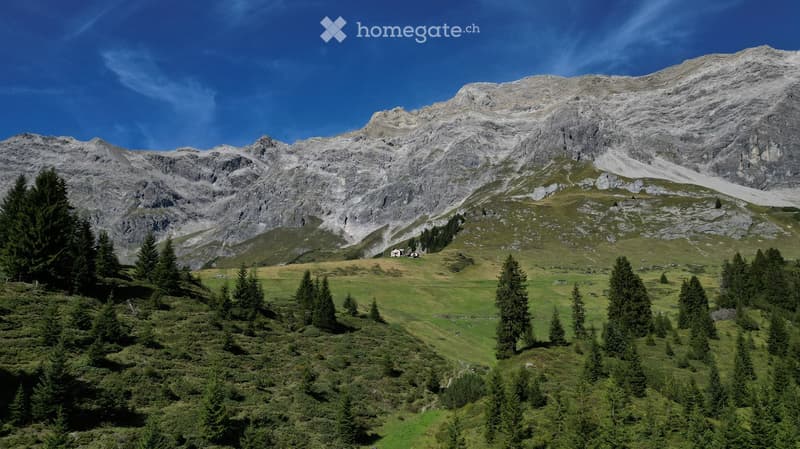 A scenic mountain landscape with a grassy valley, scattered trees, and a small house nestled among the trees. The background features rugged, snow-capped mountains under a clear blue sky.