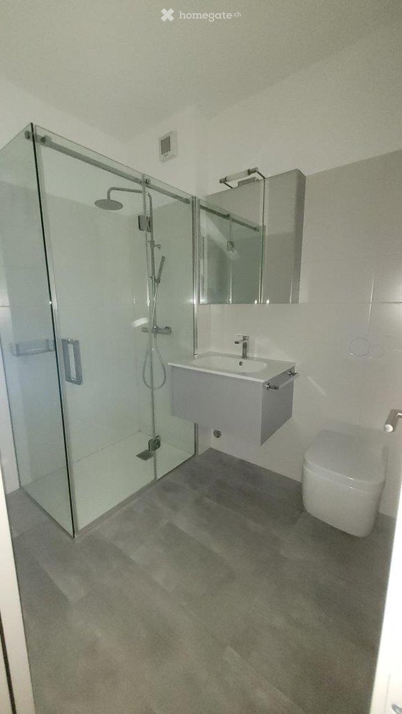Modern bathroom with a glass-enclosed shower, a white sink with a modern faucet, a toilet, and a large mirror above the sink. The floor is tiled in a dark grey color.