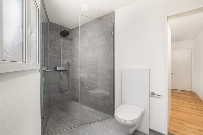 Modern bathroom with a glass-enclosed shower, grey tiles, and a white toilet.