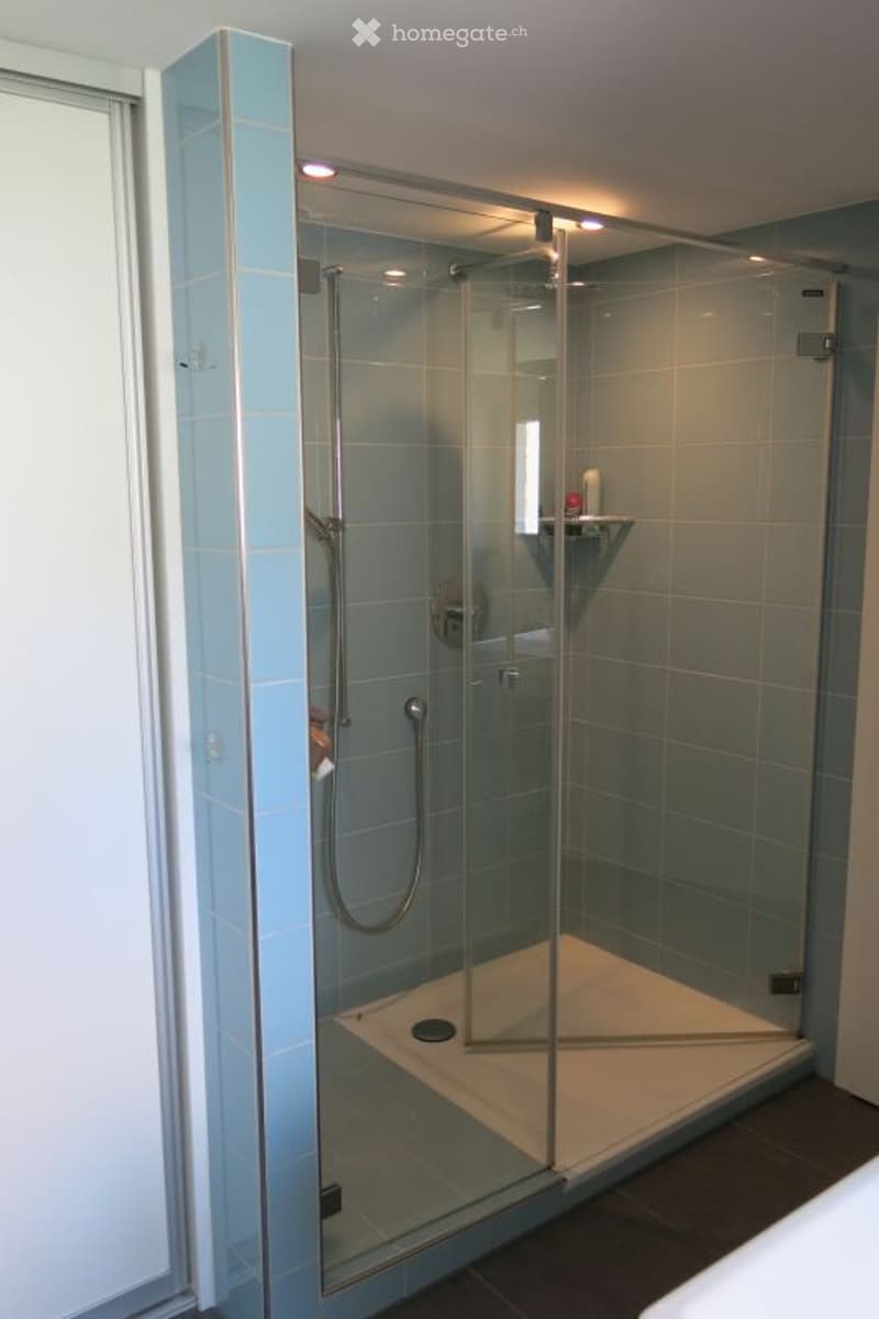Modern bathroom with a glass-enclosed shower stall featuring a handheld showerhead and a built-in shelf. The shower stall has a sleek, contemporary design with a glass door and a tiled interior.