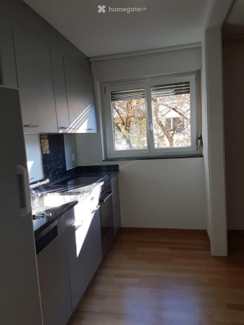 Modern kitchen with light grey cabinets, wooden flooring, and a window offering a view of trees outside. Includes a sink, oven, and dishwasher.