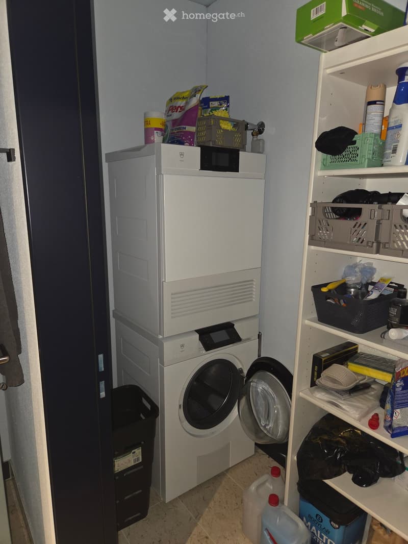 A small utility room with a washing machine, shelves filled with cleaning supplies, and various storage items.