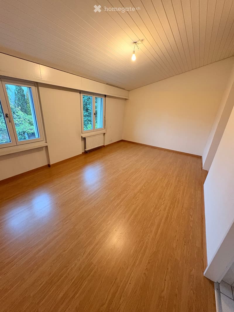 Empty room with wooden flooring, white walls, and large windows offering a view of greenery outside. The room has a slanted ceiling and a single light fixture.