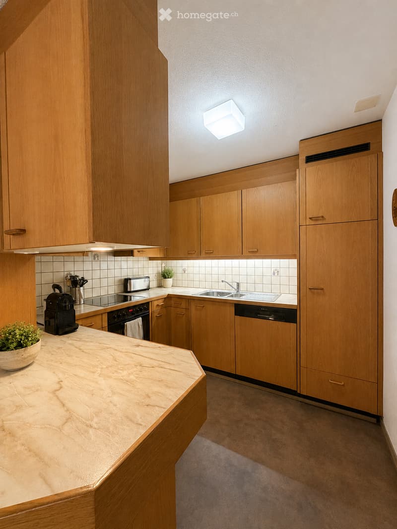 Modern kitchen with light wooden cabinets, marble countertop, stainless steel appliances, and a small potted plant on the counter.