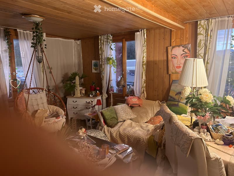 Cozy living room with wooden walls and ceiling, featuring a sofa, coffee table, wicker hanging chair, side table, drawer unit, and various decorative items including plants and artwork.