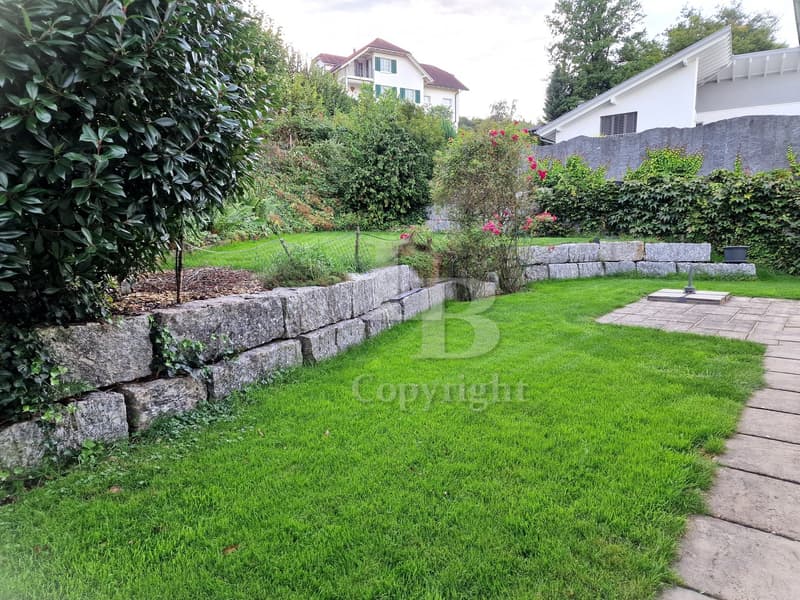 Well-maintained garden with a stone retaining wall, neatly trimmed grass, a small tree, and a paved pathway leading to a patio area.