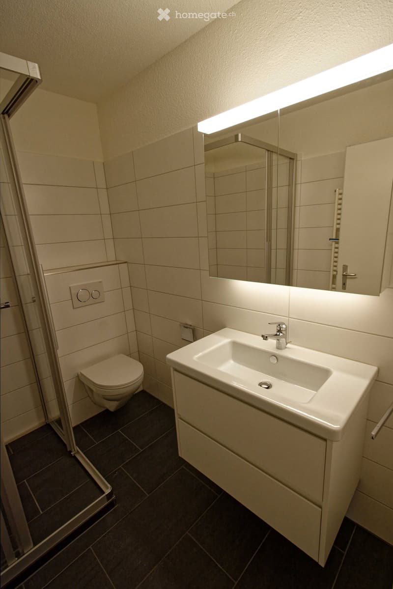 Modern bathroom with a white sink, chrome faucet, large mirror, toilet, and dark tiled floor.