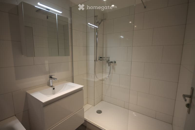 Modern bathroom with white tiles, a built-in sink with a modern faucet, a large mirror with built-in lighting, and a walk-in shower with a handheld showerhead.