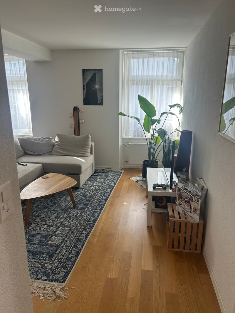 Living room with light wooden flooring, a grey sectional sofa, a wooden coffee table, a large potted plant, a TV stand with a screen, and a mirror on the wall.
