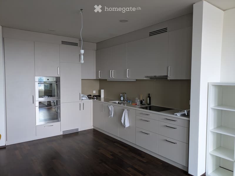 Modern kitchen with grey cabinets, stainless steel oven, sink, and countertop. Wooden flooring and white shelving unit visible.