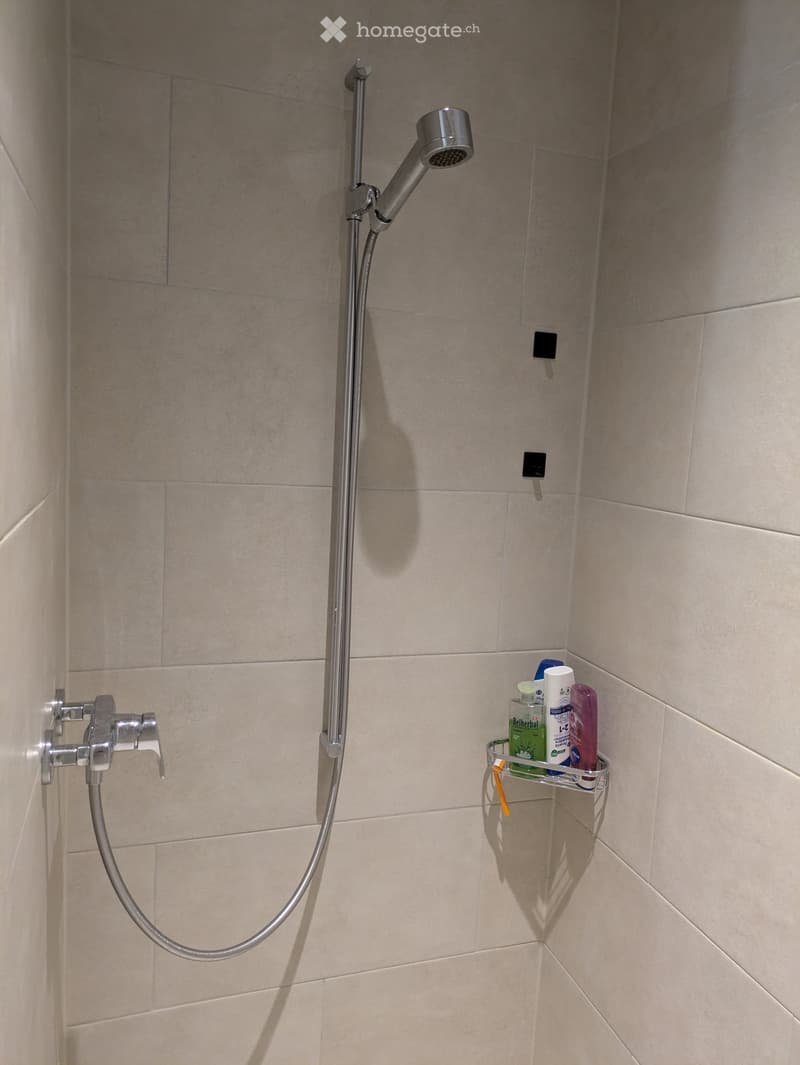 Modern shower area with a handheld showerhead, a fixed faucet, and a small shower rack holding various toiletries.