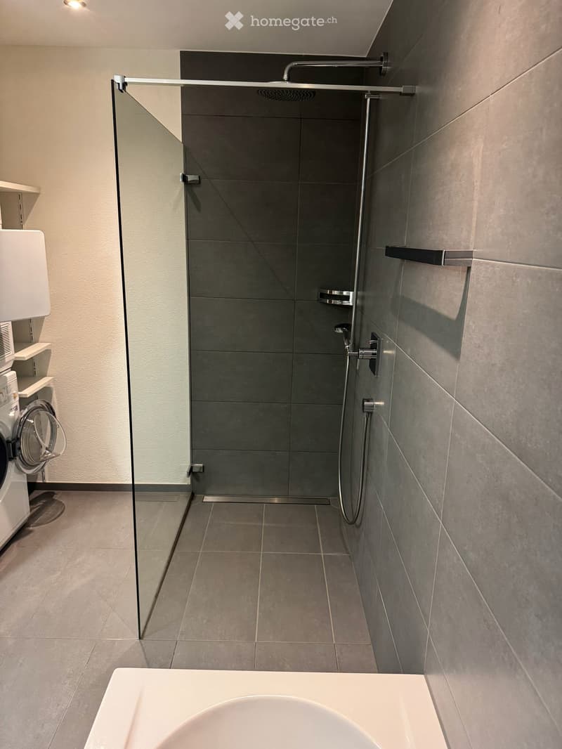 Schöne, helle 3.5 Zimmer Wohnung im 1. Stock mit Sicht auf Berge sucht neuen Eigentümer (16)